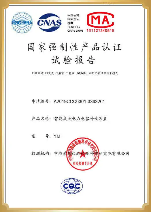 Patent Certificate 6